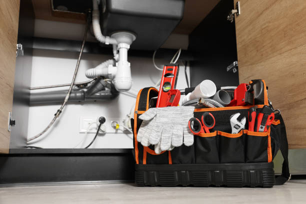Best Same-Day Plumbing Service  in Poipu, HI